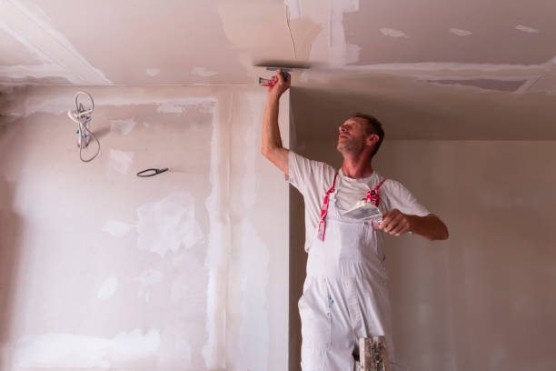 Best Wallpaper Removal and Painting  in Brooklyn Heights, OH